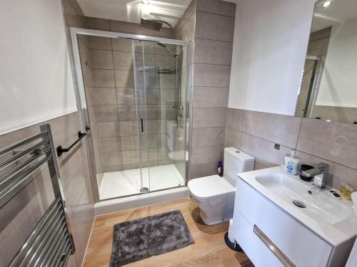 a bathroom with a shower and a toilet and a sink at Free Parking: Old Trafford Apartment in Manchester