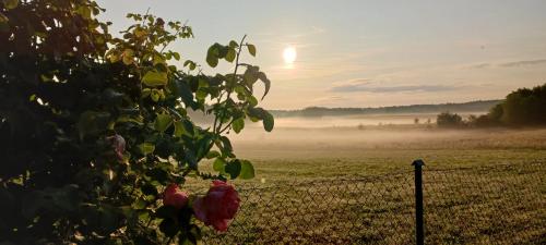 a fence in front of a field with the sun rising at Zacisze pod brzozami in Kętrzyn