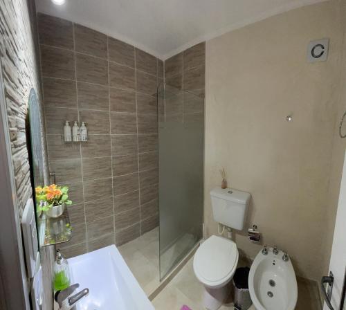 a bathroom with a toilet and a shower and a sink at Departamento de La Nonna in Posadas