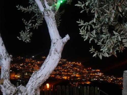 a tree with a view of a city at night at Grandpa House in Wadi Musa
