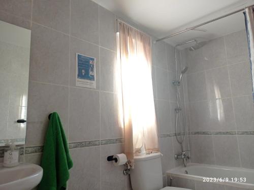 ein Bad mit einer Dusche, einem WC und einem Waschbecken in der Unterkunft Casa de huéspedes Villa de las Hortensias in Bustarviejo