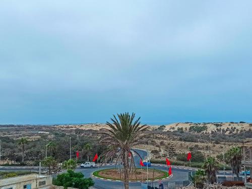 un palmier au milieu d'une route dans l'établissement la casa bella 5 minutes de la plage, à Essaouira