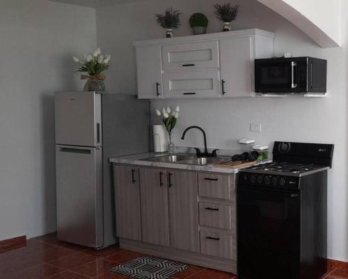 a kitchen with a sink and a refrigerator at Casa Rosairis 