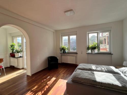 a bedroom with a bed and two windows with potted plants at Gästezimmer Limburg City in Limburg an der Lahn