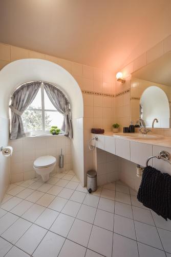 a bathroom with a toilet and a sink and a window at Kaštieľ Sokoľany in Sokoľany