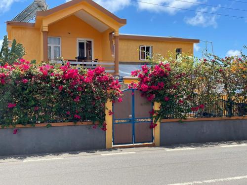 Hibiscus chez Arielle