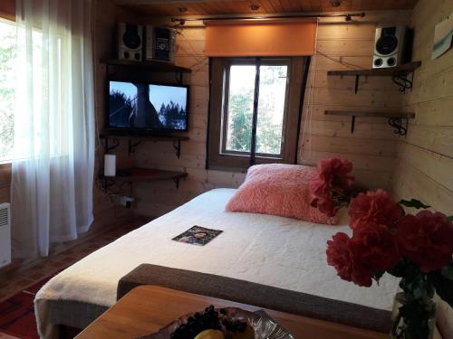 1 dormitorio con 1 cama, TV y mesa en Viesu māja"Ordziņas", en Pāvilosta