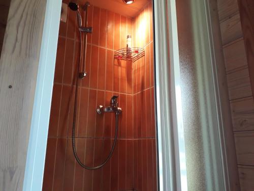 y baño con ducha y cabezal de ducha. en Viesu māja"Ordziņas" en Pāvilosta
