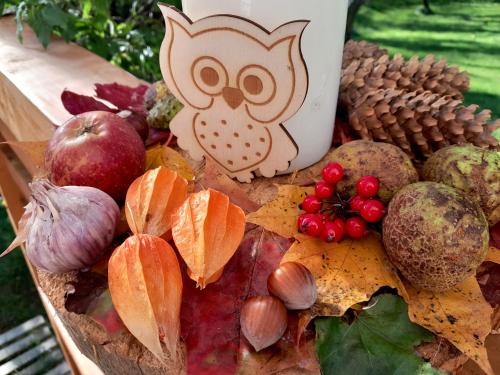 a tray of fruits and vegetables with an owl on it at Sowinka in Lutowiska
