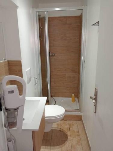 a white bathroom with a toilet and a shower at studette a la moutonne in La Crau