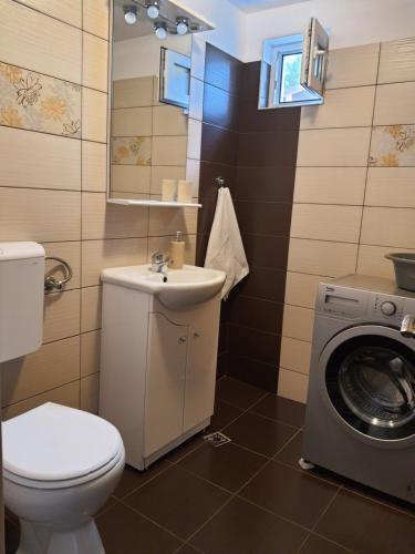 La salle de bains est pourvue d'un lavabo et d'un lave-linge. dans l'établissement Cabana Maly, à Petroşani