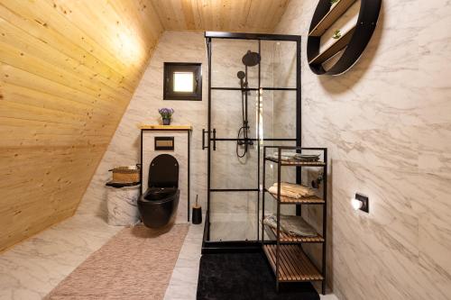 a bathroom with a shower and a toilet in a room at Paunova Koliba in Knić