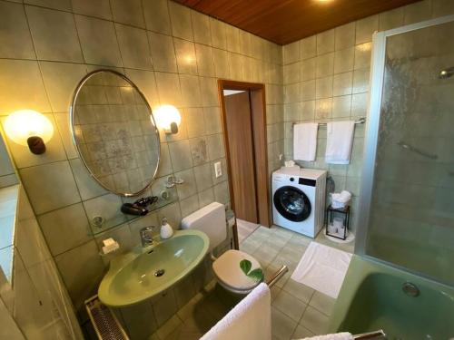 a bathroom with a sink and a shower and a mirror at Vali‘s Apartment One in Dettingen an der Erms