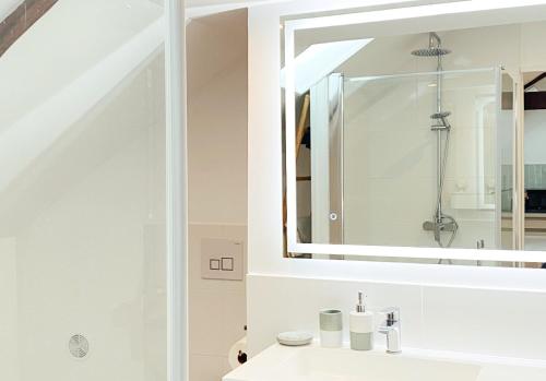 a bathroom with a sink and a mirror at Le Countryside ⸱ Stationnement gratuit ⸱ Fibre in Déols