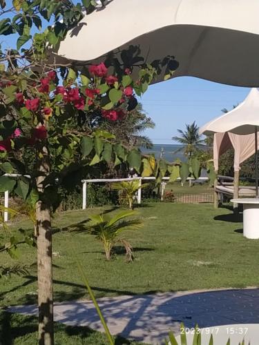Κήπος έξω από το Pousada das Falésias