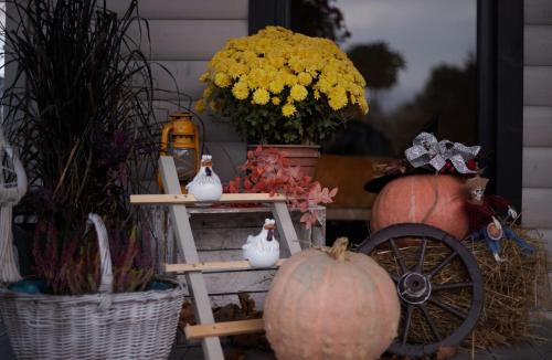 a porch with pumpkins and a cart and flowers at Lawendowy Zakręt in Ustrzyki Dolne
