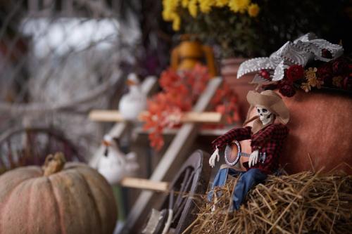 a figurine of a man sitting on a pile of hay with a pumpkin at Lawendowy Zakręt in Ustrzyki Dolne