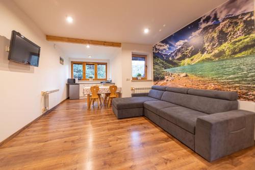 a living room with a couch and a tv at Apartamenty i pokoje gościnne Wajdówka in Zakopane