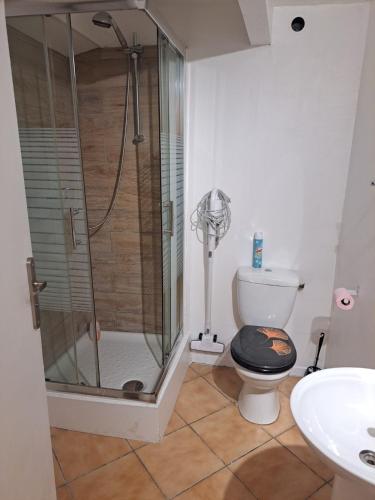 une salle de bain avec une douche avec des toilettes et un lavabo dans l'établissement 183 studio proche opéra, à Toulon