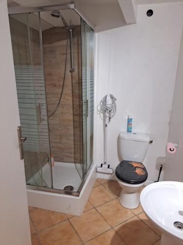 a bathroom with a shower and a toilet and a sink at 183 studio proche opéra in Toulon