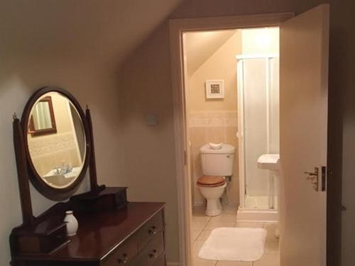 a bathroom with a toilet and a mirror at Blossom Hill Bed and Breakfast in Killaloe