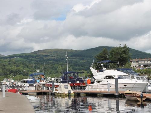 a bunch of boats are docked at a dock at Blossom Hill Bed and Breakfast in Killaloe