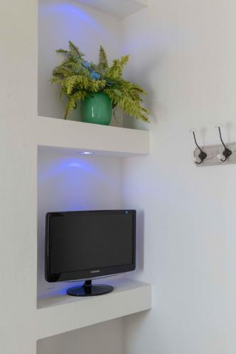 a tv on a shelf with a potted plant at Hotel Smart Cervia B&B in Cervia