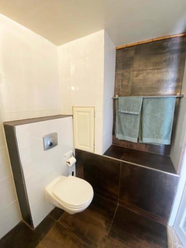 une petite salle de bain avec toilettes et lavabo dans l'établissement Le Vallon du Brec - Jardin classé remarquable, à Coursegoules