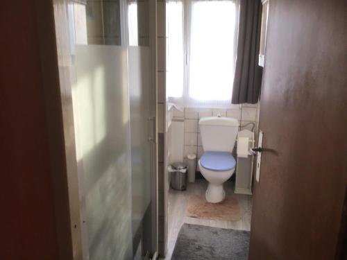 een kleine badkamer met een toilet en een raam bij Maison individuelle dans les Vosges du nord in Niederbronn-les-Bains