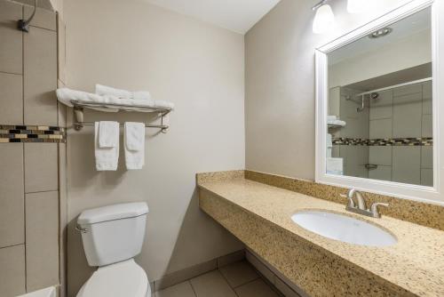 a bathroom with a sink and a toilet and a mirror at Days Inn by Wyndham Roswell in Roswell