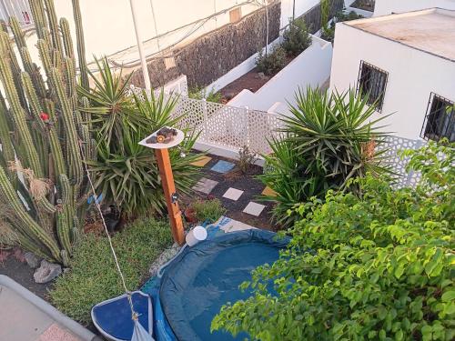 a backyard with a swimming pool and a garden at Apartamento 2 dormitorios cerca de la playa en Puerto del Carmen in Puerto del Carmen