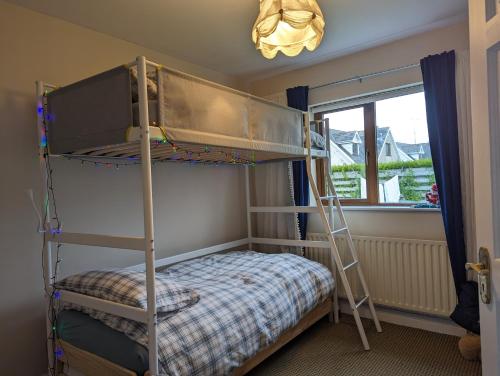 Ce lit superposé se trouve dans un dortoir avec une échelle. dans l'établissement Gated Community 4 Bedroom Country & Beach Escape, à Gorey