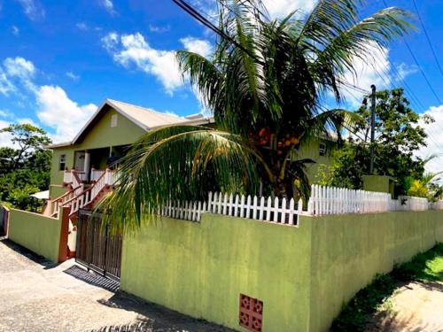 a house with a fence and a palm tree behind it at Casa Villa Apartments in Calliaqua