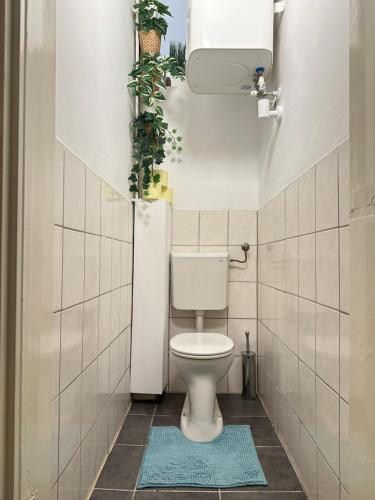 a bathroom with a toilet with plants on the wall at Ferienwohnung Marion Klagenfurt zentrumsnähe in Klagenfurt