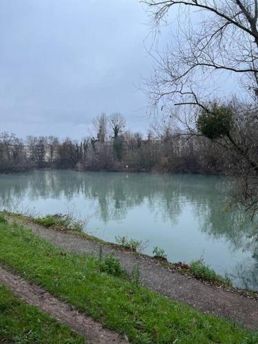 een waterlichaam met bomen op de achtergrond bij Superbe appartement proche Paris 30 min RER in Saint-Maur-des-Fossés