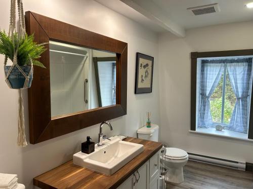 a bathroom with a sink and a toilet and a mirror at Petite Plaisance Appartements in La Malbaie