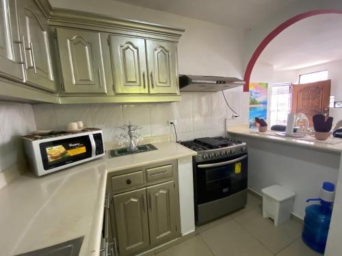 a kitchen with green cabinets and a microwave at Santiago City Center Huge nice Apartment to stay rooftop to enjoy the city view in Santiago de los Caballeros