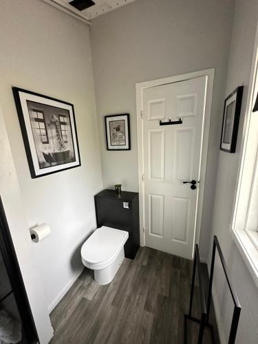 a bathroom with a toilet and a white door at Cherry tree Lodge in Dunoon