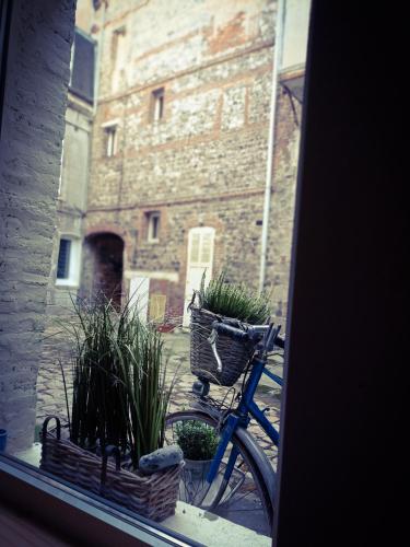 a bike parked in front of a building with plants at Gîte Quai N 10 in Saint-Valéry-en-Caux