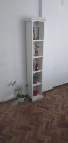 um quarto com uma prateleira branca com vasos de plantas em Depto La Boca em Buenos Aires