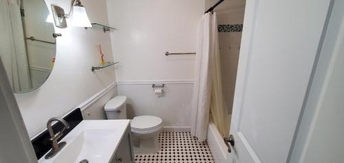 ein Badezimmer mit einem WC, einem Waschbecken und einem Spiegel in der Unterkunft tom house in Tampa