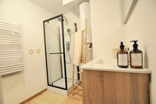 La salle de bains est pourvue d'une douche et d'un lavabo avec des bouteilles sur le comptoir. dans l'établissement *L'écrin de Ronsard*Plage & Centre-Ville, à Dunkerque
