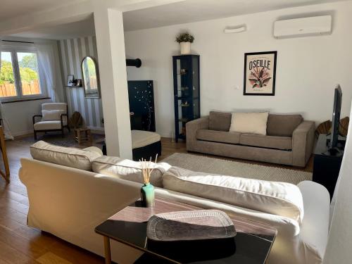 Zona d'estar a Le Pistachier - Maison cozy avec jardin privatif