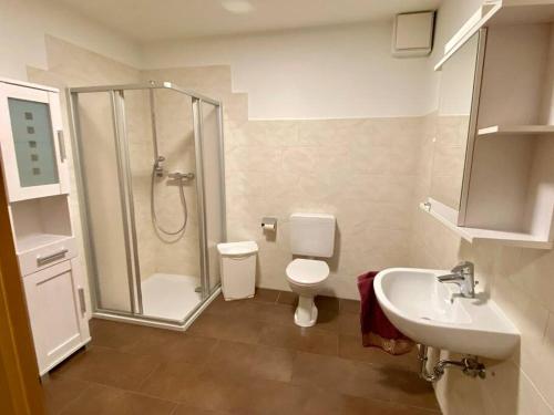 a bathroom with a shower and a toilet and a sink at Ilmenau Lieblingsplatz in Lüneburg