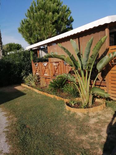 une maison avec une clôture et une usine dans la cour dans l'établissement Camping Del Mar B07, Mobil home O'Hara résidentiel, 4 personnes, Camping Del Mar Village, à Argelès-sur-Mer