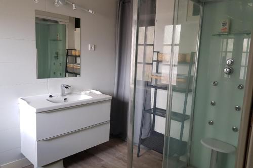 ein Bad mit einem Waschbecken und einer Glasdusche in der Unterkunft L'aiglerie in Reviers