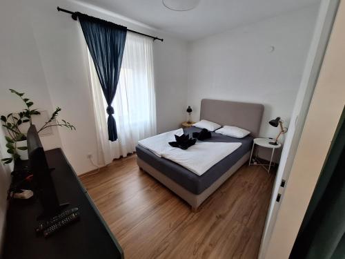 ein Schlafzimmer mit einem Bett und einem TV in der Unterkunft Flataid Apartment Elisabethinergasse in Graz