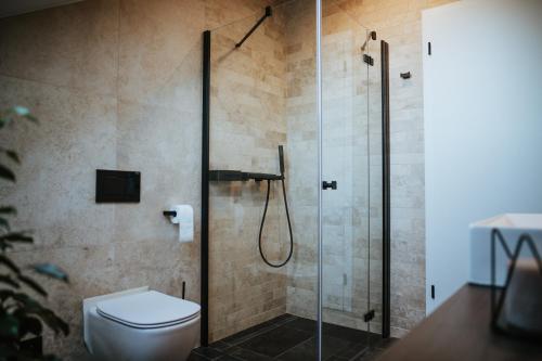 a bathroom with a shower and a toilet at Galerie mlýn Žeraviny in Žeraviny