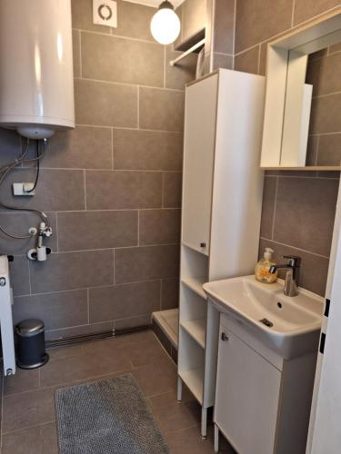 y baño pequeño con lavabo y ducha. en Flataid Apartment Elisabethinergasse, en Graz