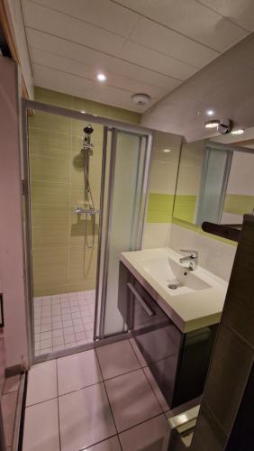 a bathroom with a shower and a sink and a shower at gites 2 beauvoir in Beauvoir